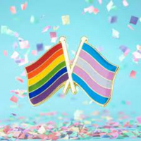 Enamel Pin, Pride & Trans Flags, 2SLGBTQI+