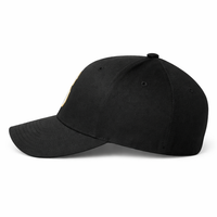 Fitted Cap, Scarborough Scarborough Stingers