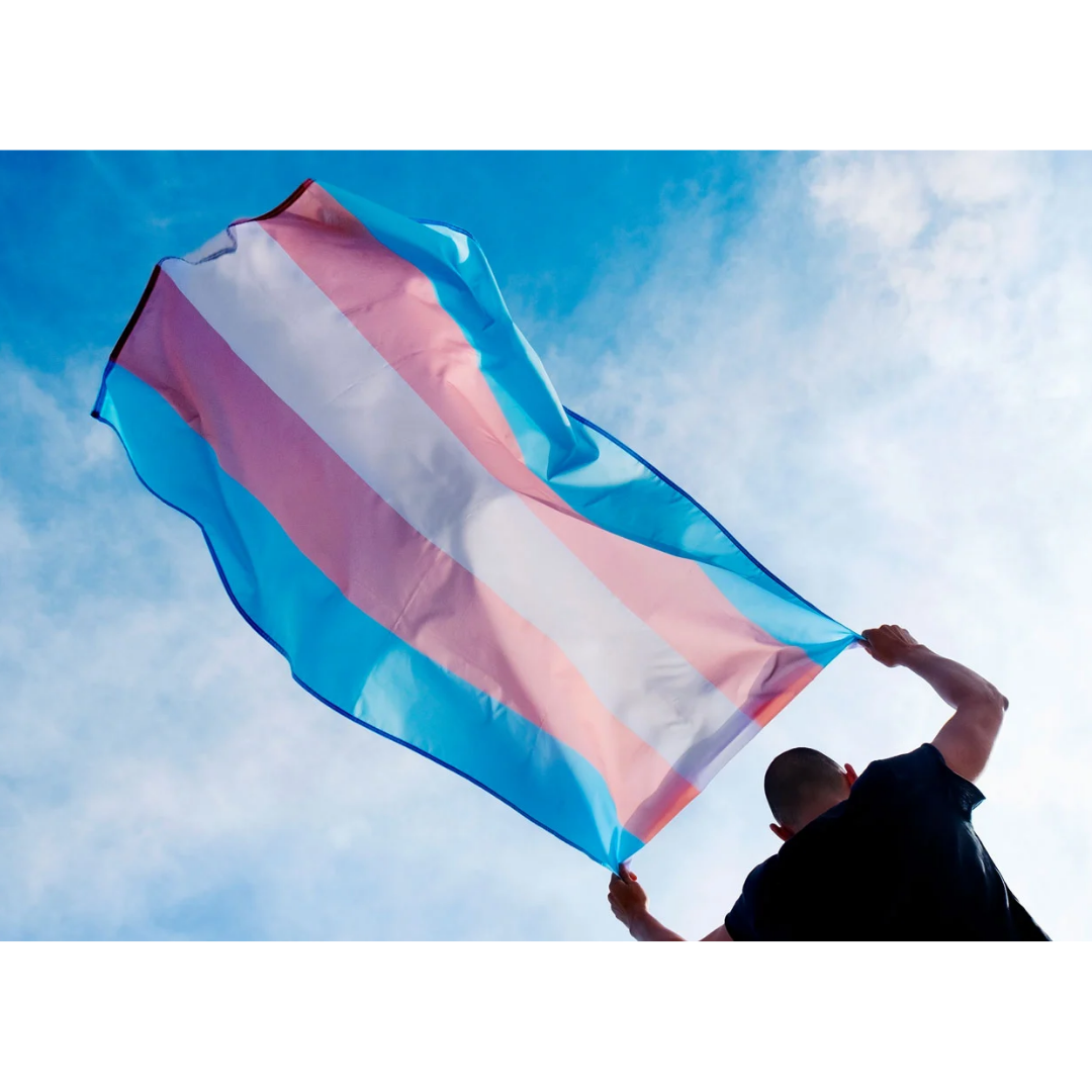 Flag, Transgender Flag, 3ft x 5ft – Shop Love Collective