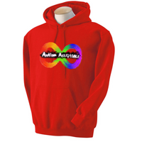 Hoodie Autism Acceptance, The Artsy Autistic, Youth Unisex