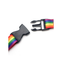 Lanyard, Pride, Rainbow Stripes