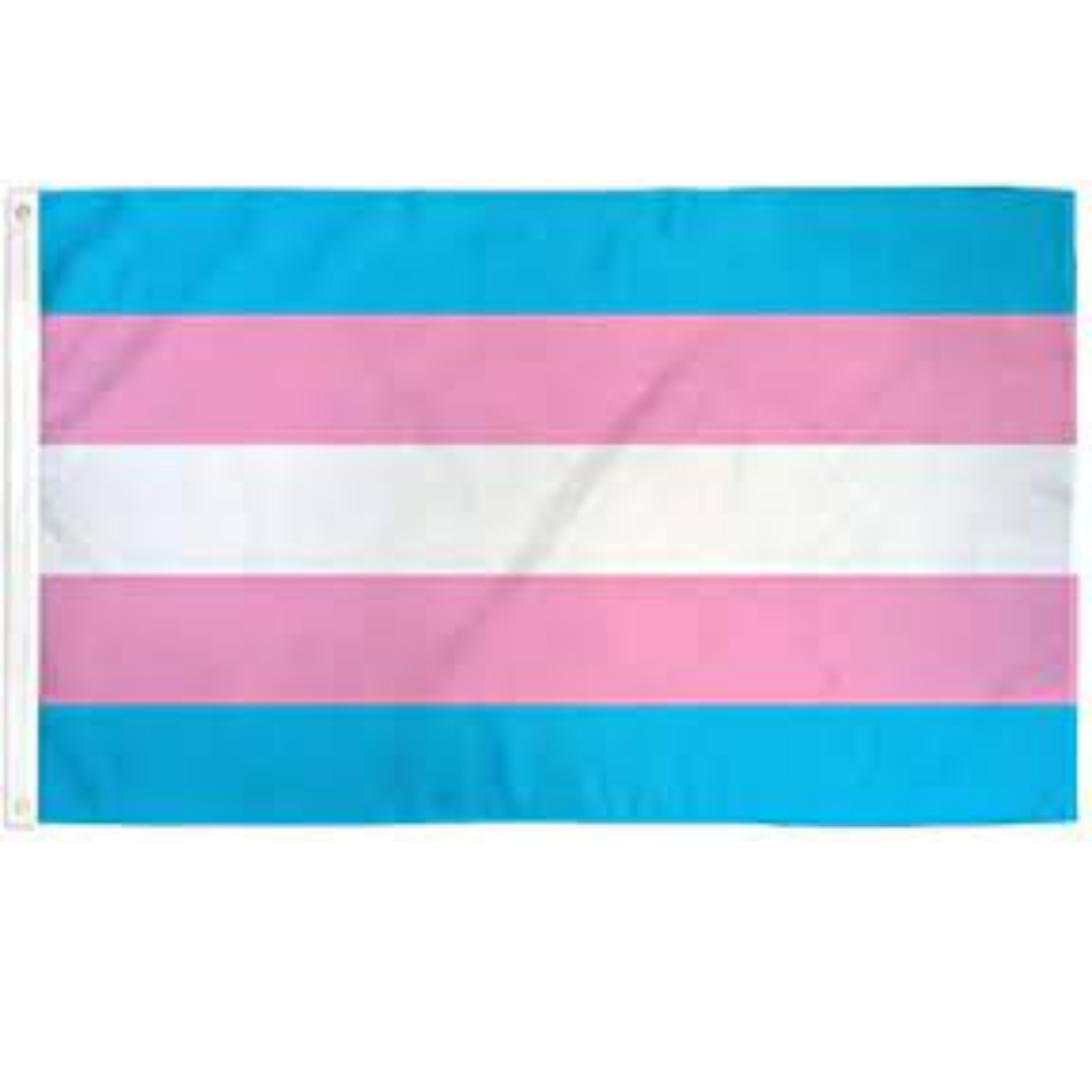 Womens Boyshorts Transgender Flag With Heart, LGBTQ Pride Hipsters