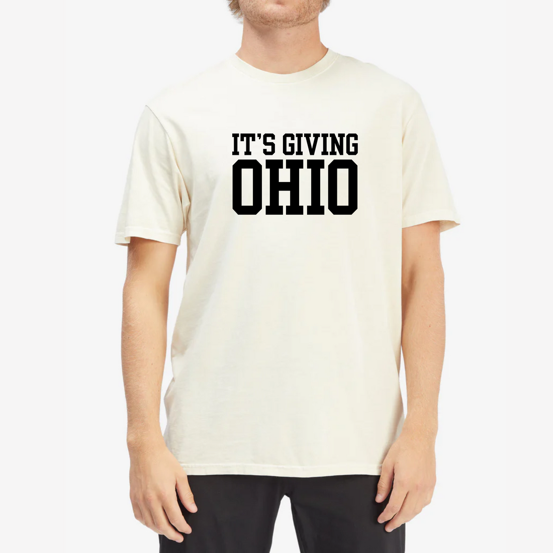 T-Shirt, It's Giving Ohio