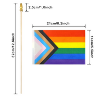 Pride Progress Mini Flags, 5" x 8"