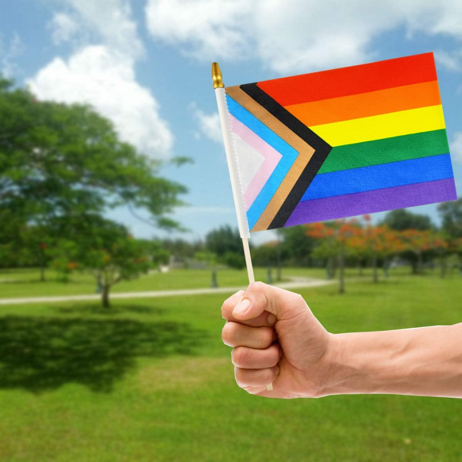 Pride Progress Mini Flags, 5" x 8"
